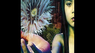 The Future Sound of London -Lifeforms- 12 Vertical Pig