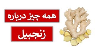 فواید و مضرات زنجبیل برای سلامتی #شفا