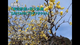 パワースポット「宝登山神社」「宝登山（ほどさん４９７．１m）・長瀞アルプス・ロウバイ（蠟梅）の香り漂う宝の山」ハイキング！