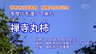 禅寺丸柿