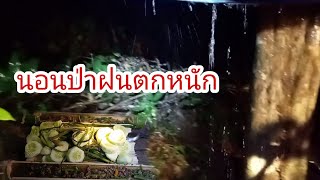 นอนป่าเจอพายุฝนแรงมาก