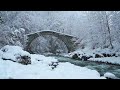 ❄ 10 HOURS of Beautiful Winter Scenes /Amazing Nature Scenery & The Best Relax Music #1