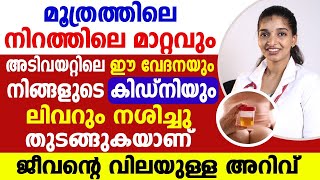 മൂത്രത്തിലെ നിറ മാറ്റവും അടിവയറ്റിൽ വേദനയും ഉണ്ടോ ? ലിവറും കിഡ്നിയും നശിച്ചു തുടങ്ങുകയാണ് |