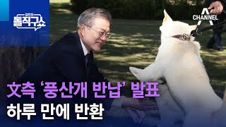 文측, ‘풍산개 반납’ 발표 하루 만에 반환 | 김진의 돌직구 쇼 1120 회