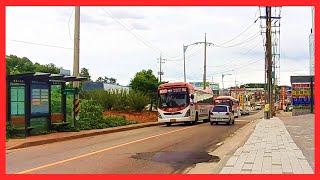 김포운수 8000번, 선진상운 2000번 - 종생마을