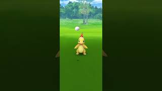 【Pokémon GO】 Shiny Charmander GET✨