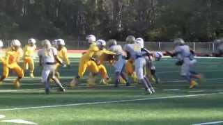 collier park steelers vs adamsville vikings championship 2015