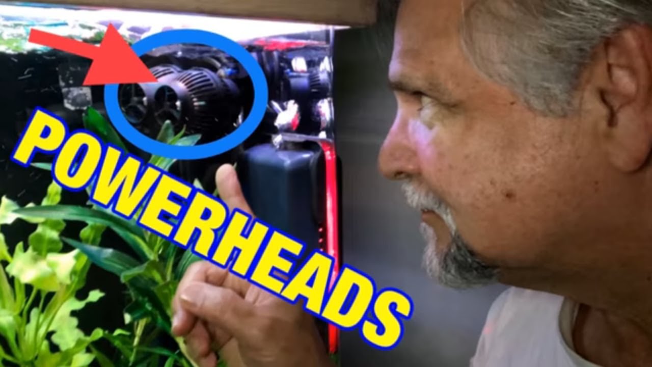 Powerhead Wavemaker Tips This Made A Big Difference In My Tank Not