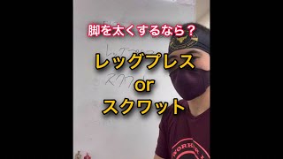 脚を太くするなら？レッグプレスorスクワット