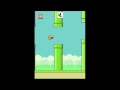 1 Hour NON-Stop Flappy Bird - High Score 984