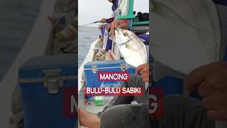 MANCING SABIKI - BULU BULU SABIKI #shorts #sabiki #umpanjitu #fishing