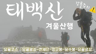 [태백산국립공원, 강원도 태백] 날씨가 좋지 않아서 더 좋았던(?) 태백산에서 어머니와 함께하는 등산⛰❄️