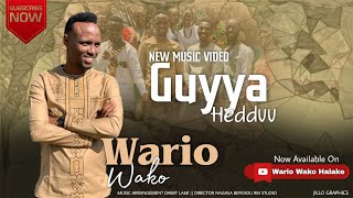 Afaan Oromoo New Gospel song || Guyyaa hedduu || Waariyoo Waaqoo || 2022