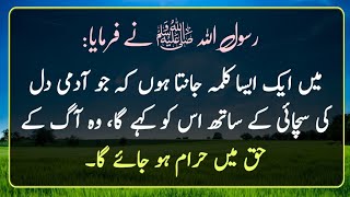 Hadees Mubarak | Hadees sharif in Urdu | Deen ki baatein | prophet Muhammad SAW | Islamic Urdu