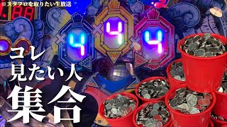 【生放送】バカ入れしながらスタフロを当てる漢になる。【メダルゲーム/フォーチュントリニティ4】