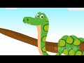 learn about different animal names and homes animal names and homes for kids