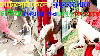 doggy Rescue Team(মোটরসাইকেলে কুকুরের পায়ে চালিয়ে দিয়েছে)DogHelping Animal Rescue and Rescue Team