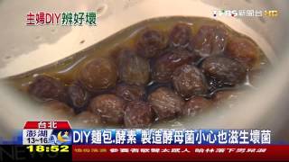 DIY麵包、酵素　製造酵母菌小心也滋生壞菌