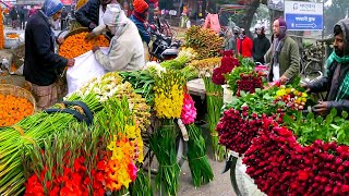 বিশাল ফুলের আড়ৎ যশোরের গদখালীতে || Panorama Documentary