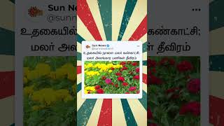 Ooty 'flower Show' Begins Tomorrow; மலர் அலங்கார பணிகள் தீவிரம் | Sun News