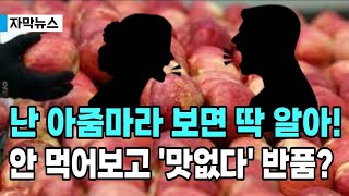 [자막뉴스]요즘 참...난 아줌마라 보면 딱 알아! 황당주장에 자영업자 한숨