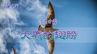 【清晨甘露】大鷹的翅膀