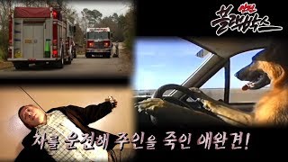 안전 블랙박스 - 황당한 화재 사고 / 저주받은 자동차 / 파라다이스 타워의 저주