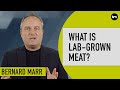 What Is Lab Grown Meat? ...And Will It Be The Future Of Food?