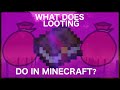 What Does Looting Do In Minecraft?