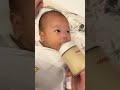 无老人无月嫂90后长工照顾黑娃儿的一天 人类幼崽越养越上头 爸爸带娃 黑娃日常 1