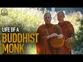 Life of a Buddhist Monk