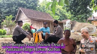 Dolan Desa Menyapa Petani \u0026 Blusukan Kandang Pantau Harga Sapi Jumbo Murah Di Blora Part 02