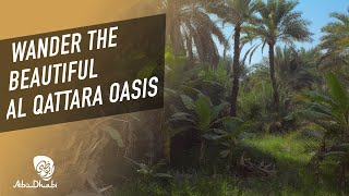 Al Qattara Oasis - Ancient history & heritage in Al Ain | Abu Dhabi