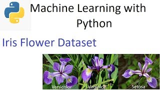 Iris flower dataset Part-2