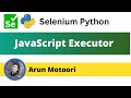 JavaScript Executor in Selenium Python (Selenium Python)