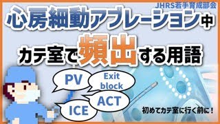 【初心者向け】 カテーテルアブレーション中に頻出する用語を解説します。（心房細動編）：PVI・ICE・ACT・Exit blockとは?