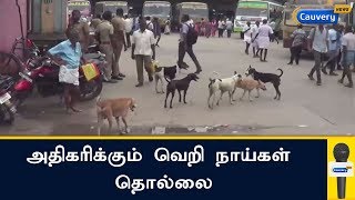 திருவில்லிபுத்தூர் பகுதிகளில் அதிகரிக்கும் வெறி நாய்கள் தொல்லை: நடவடிக்கை எடுக்க மக்கள் கோரிக்கை