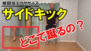 サイドキックの蹴り方！どこで蹴る？【格闘技エクササイズ動作解説】