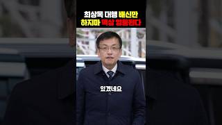 최대행 배신자 아니었나?떡락 떡상 반복중…