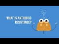 What is antibiotic resistance?