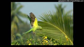 Kuruthola Kondu Njanen Kinaavil Ninnum.....(Preetha Madhu)