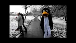 Snowday - The Morriston Penguin