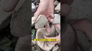 石包玉有什么特点 #珠宝 #玉石 #和田玉 #翡翠 #赌石 #寻宝