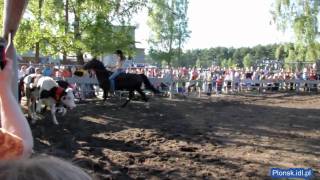 Sochocin Rodeo Klaudia Dzień Mieszkańca Gminy Sochocin 2010 - Napędzanie cieląt do zagrody