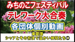 シャアとその愉快で温かい仲間たち（その①）『10万人のテレワーク大合奏』【みちフェス】