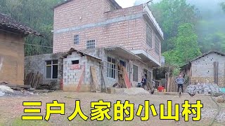 大山深处只有三户的小山村，美女独自上山挖山竹笋，一天能挖近百斤！【山农乐哥】