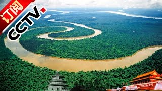 Geography of China 20161231 The Kaoai Rainforest | CCTV