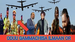 Oduu Gammachisa Ilmaan oromodha #mohaoromo #oromia24 #maddawalabumedia