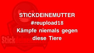 Kämpfe NIEMALS gegen diese TIERE! #reupload18 #stickdeinemutter