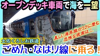 土佐くろしお鉄道ごめん・なはり線　オープンデッキ車両で海を満喫するも、もっと怖い現実に直面してきた　【特集・四国観光18-6】